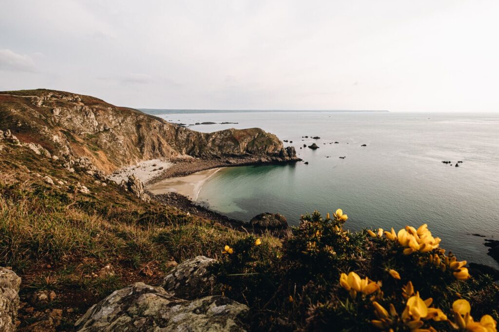 Falaises du Nez de Jobourg dominant une crique sauvage