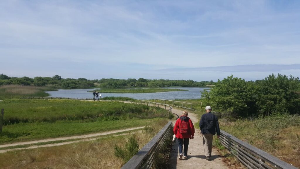 Randonneurs sur un sentier du Parc du Marquenterre