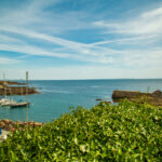 Vue sur les bateaux à quai et l’océan à Doëlan