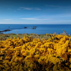 Randonnée sur la presqu'île de Crozon