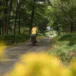 Véloscénie : Forêt de Rambouillet