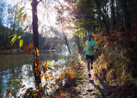 Photographie d'un traileur dans le décor mystique de Brocéliande