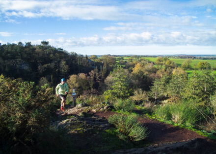Vue aérienne de la Forêt de Brocéliande