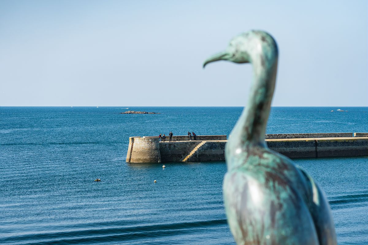 Circuit 10 Jours en Bretagne : Concarneau