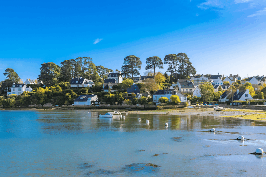 Petits bateaux amarrés sur les eaux calmes du Golfe du Morbihan bordées de maisons bretonnes et de pins.
