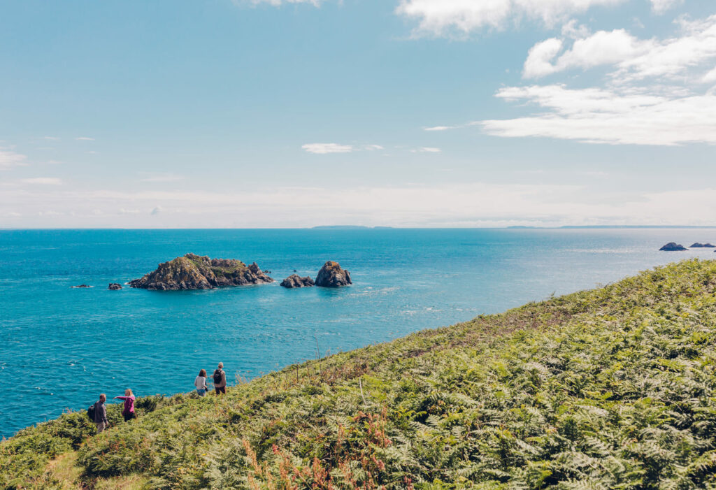 Un groupe de quatre randonneurs marche sur un sentier côtier bordé de fougères, admirant des îlots rocheux dans une mer bleue à Guernesey.